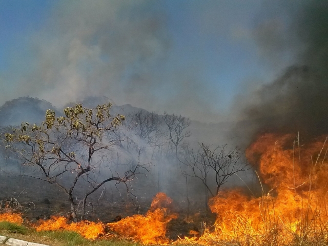 quente, brasil, temperaturas, temperatura, calor, tempo, previsão