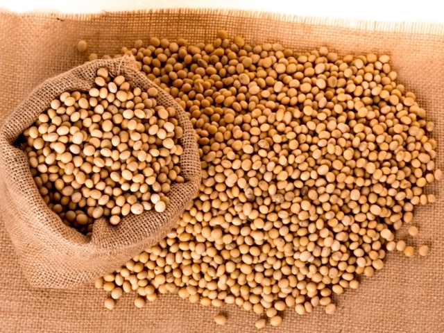 Suspensão da Moratória da Soja: o que muda e o que esperar, segundo especialistas