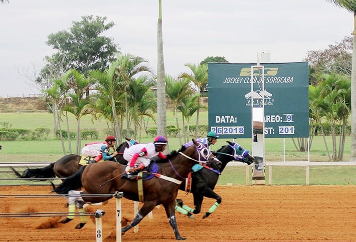 Foto: Jockey Club de Sorocaba