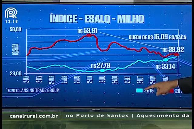 Milho: safra cheia deve pressionar preços em 2017