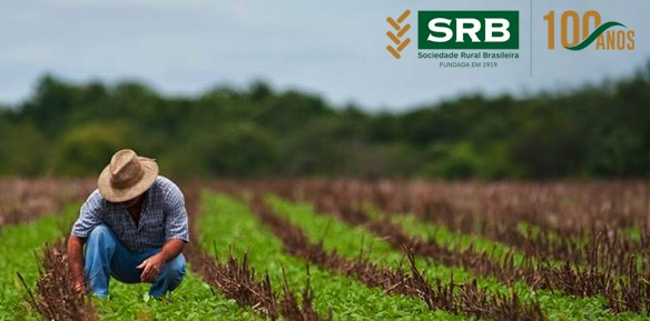 Sociedade Rural Brasileira comemora 100 anos de existência