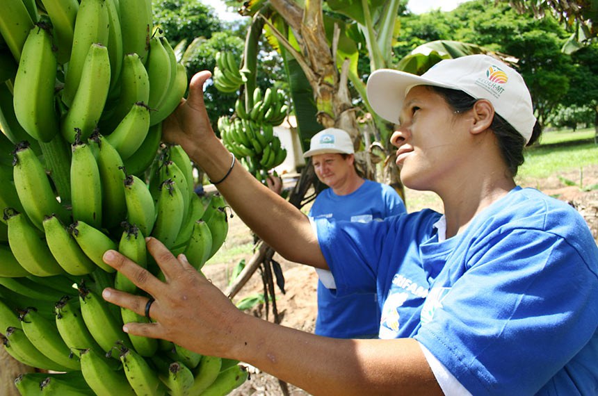 agricultoras