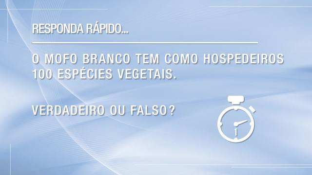 Você sabe quantas espécies vegetais são hospedeiras do mofo branco?