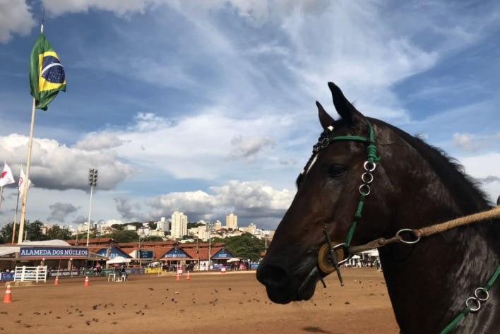 Foto: Fábio Santos/Canal Rural