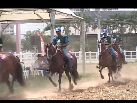 Casal faz história criando mangalarga marchador