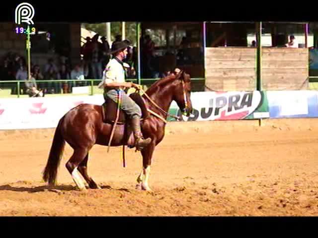 Conheça os classificados para o Freio de Ouro