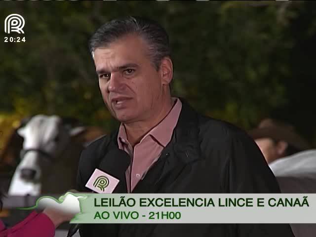 Canal Rural exibe leilão Excelência Lince e Canaã