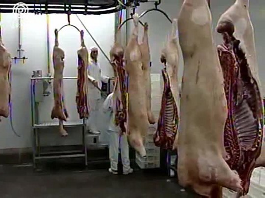 Receita das exportações de carne suína cresce 24,6% em setembro