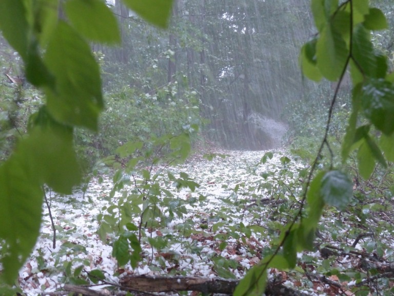 chuva