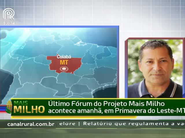 Preço do frete preocupa produtor de milho de MT