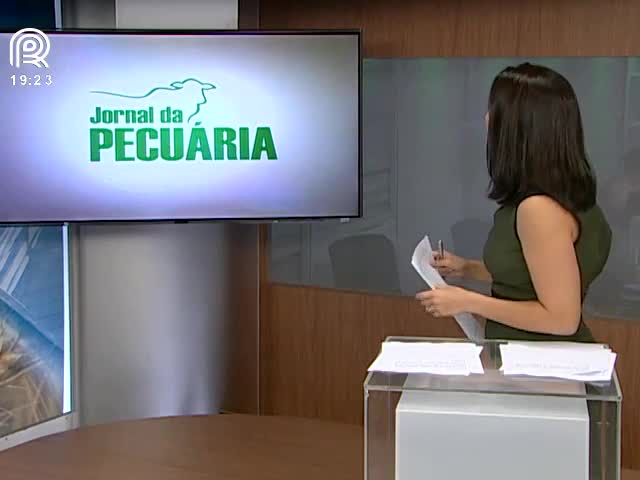 Mercado do boi gordo irá reagir nos próximos dias?