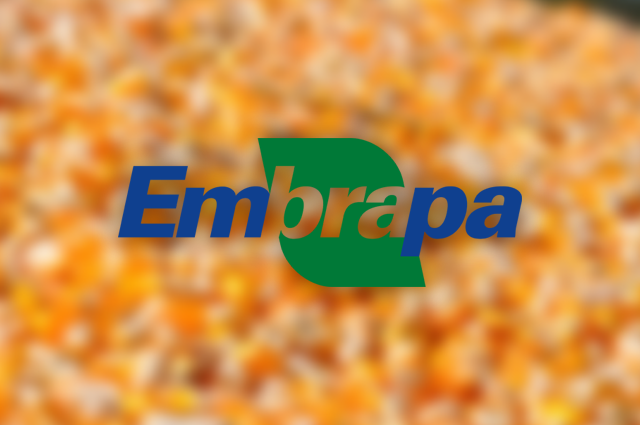 logo da embrapa em fundo amarelado