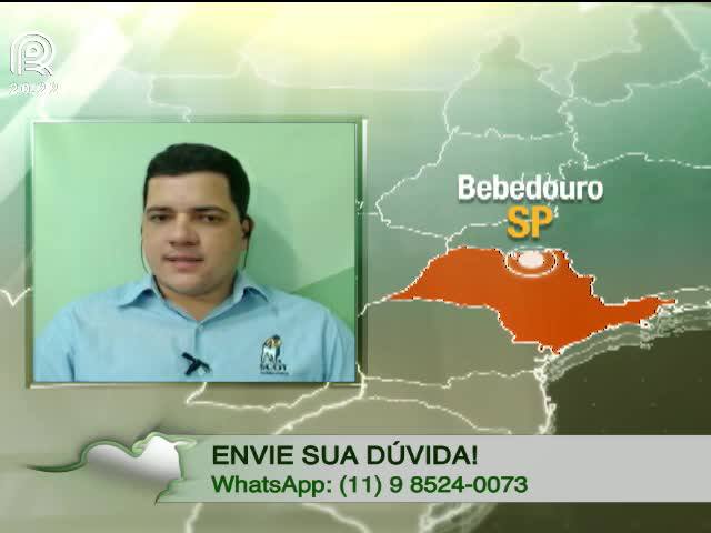 SP: frigoríficos e pecuaristas entram em conflito