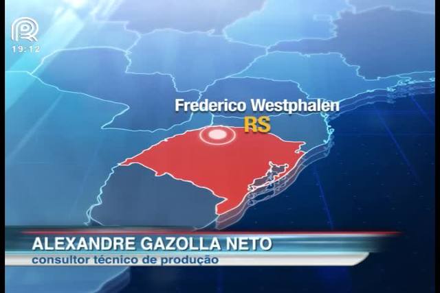 RS: chuva atinge lavouras de milho e gera prejuízo