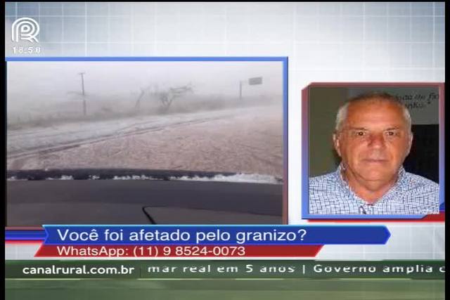 Café: entenda o efeito do granizo nas lavouras