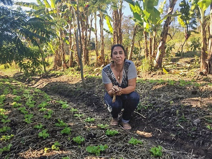 brumadinho agricultora agricultora