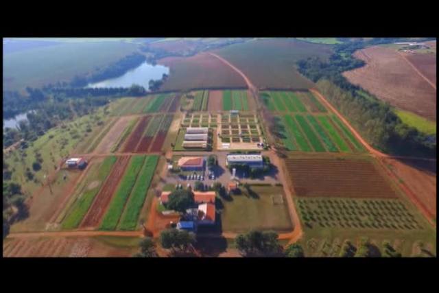 Sistema protege plantas da semente até a colheita