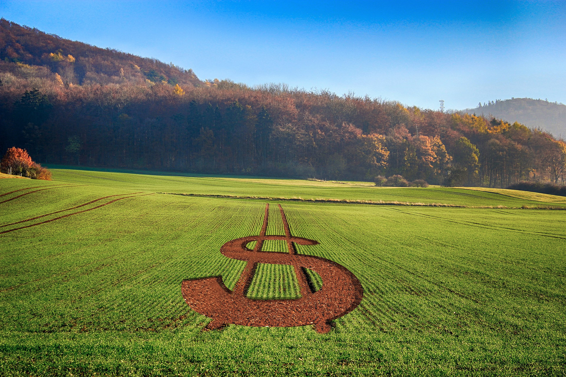 agro, lca, reforma tributária, economia, governo, cna, agricultura, mp do agro, auxílio, vbp, cpr, imposto, icms, crédito rural, fiagro