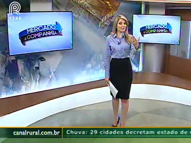 Especialista explica o manejo da lavoura antes da colheita