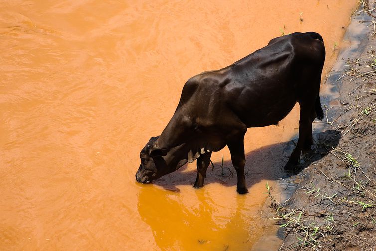 Rio Gualaxo do Norte após dois anos da tragédia do rompimento da Barragem de Fundão da Samarco