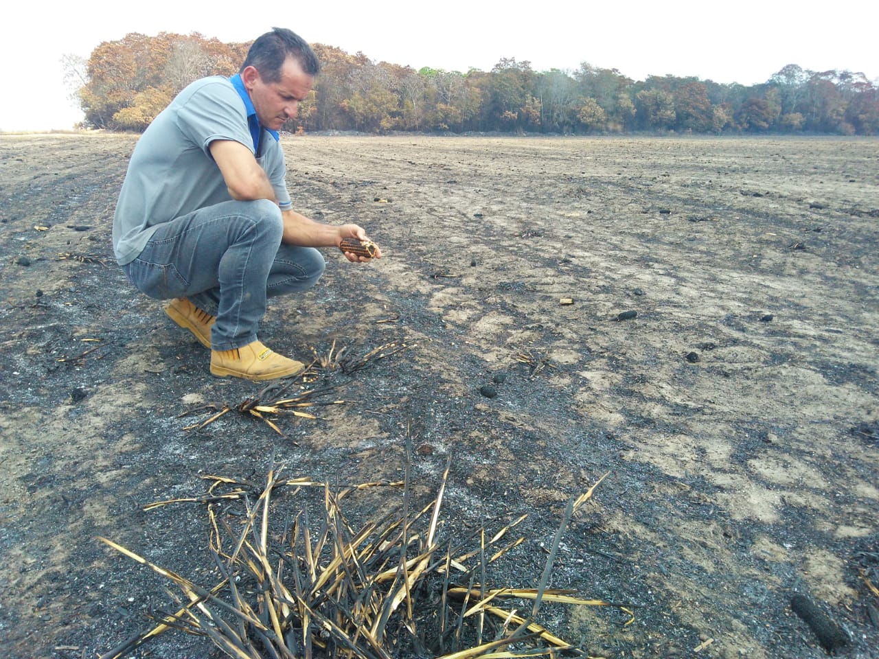 Moacir Smaniotto Junior precisou da ajuda de vizinhos para controlar o incêndio