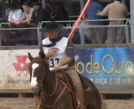 Freio de Ouro, Cavalo Crioulo, Expointer, Competição