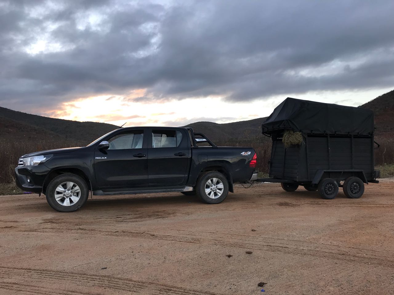 casal transporta égua de Pernambuco a Minas Gerais