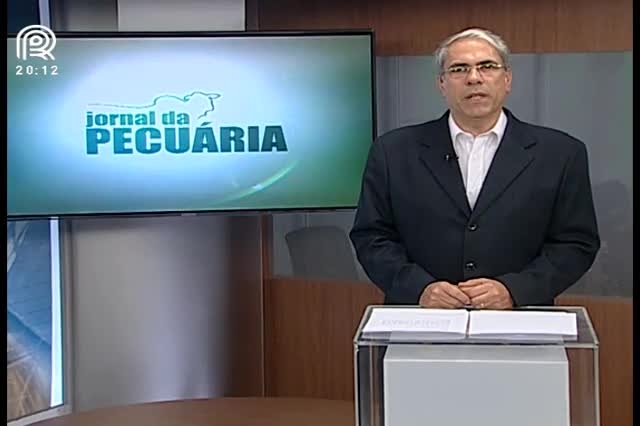 Reposição: mercado cai apesar de alta no boi gordo