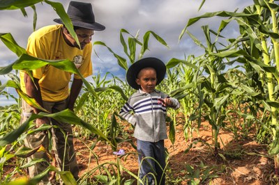 Reforma agrária