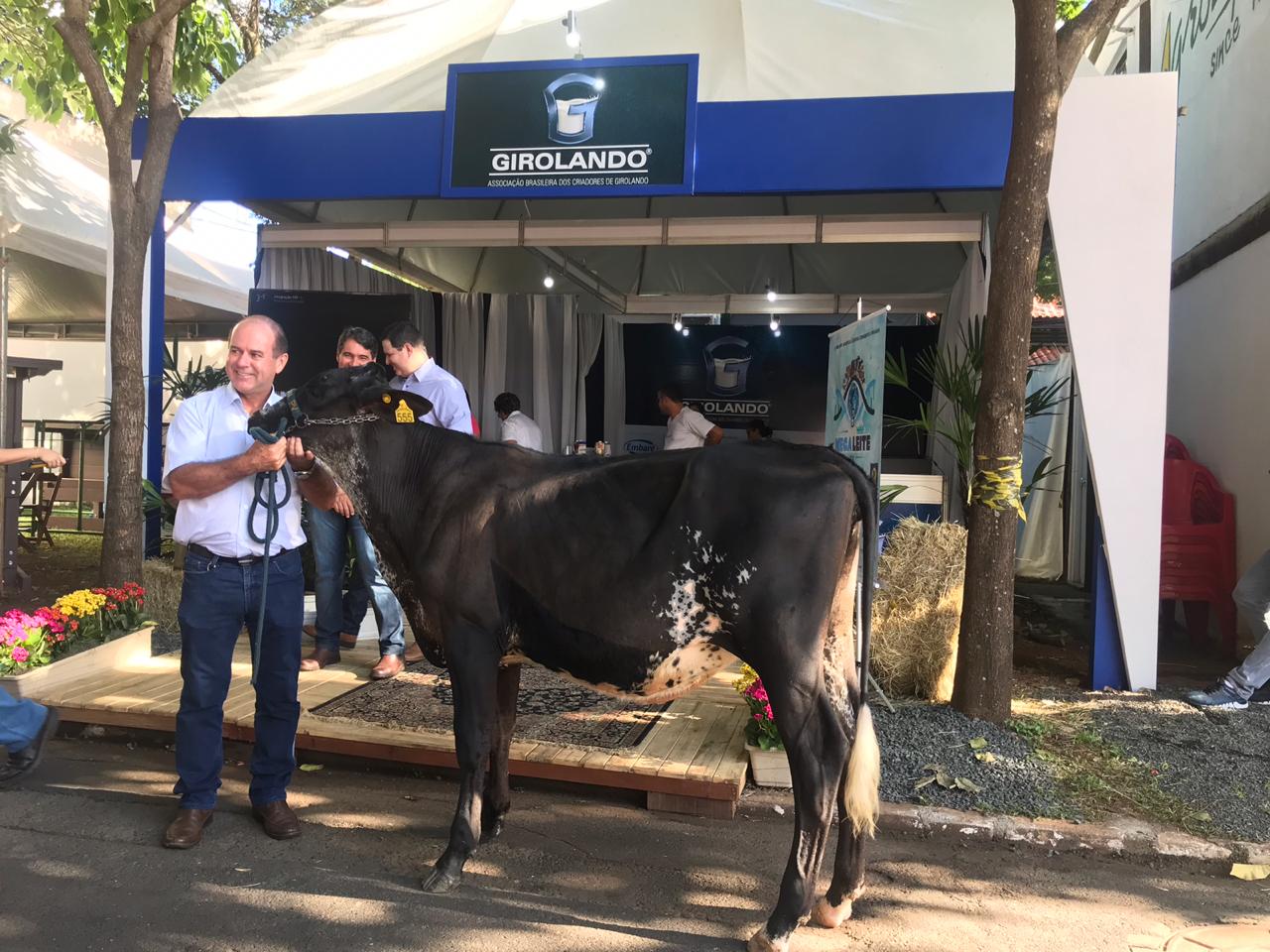 Presidente da Associação dos Criadores de Girolando, Luiz Carlos Rodrigues, durante o lançamento da Expoleite 2019. Foto: Fábio Santos/Canal Rural