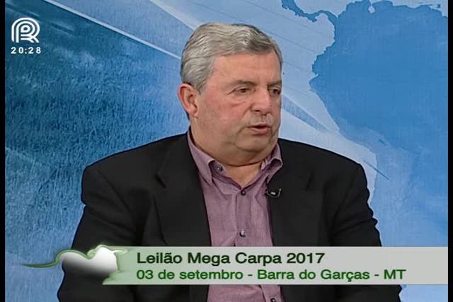 Número de leilões vai aumentar no Canal Rural