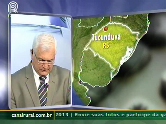 Produção de trigo do noroeste do Rio Grande do Sul pode ter perda total devido