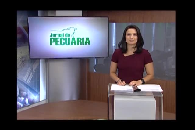 Carne: por que o preço caiu 8 semanas seguidas?