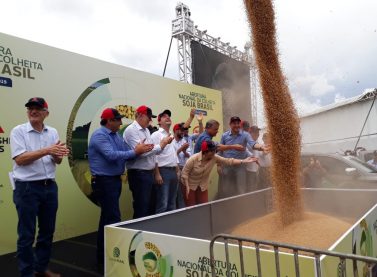 Abertura Nacional da Colheita da Soja 2019