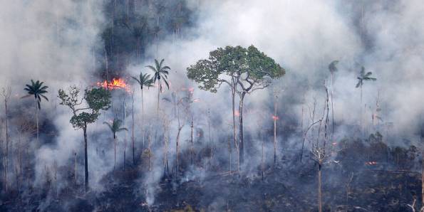 queimadas, incêndio, amazônia