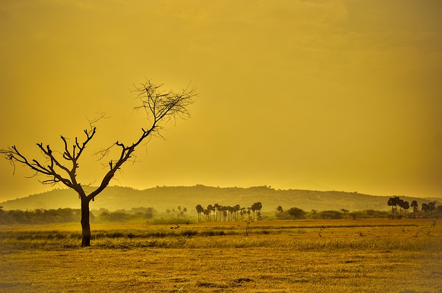 Umidade do ar abaixo de 12% deixa estados com clima de deserto; veja até quando