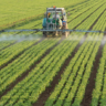 produtos, agrotóxicos, agroquímicos, defensivos, glifosato, agroquímicos, inseticida, defensivos - ministério da agricultura