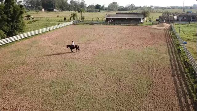 Mais um episódio do Cavalo Crioulo sem Fronteiras