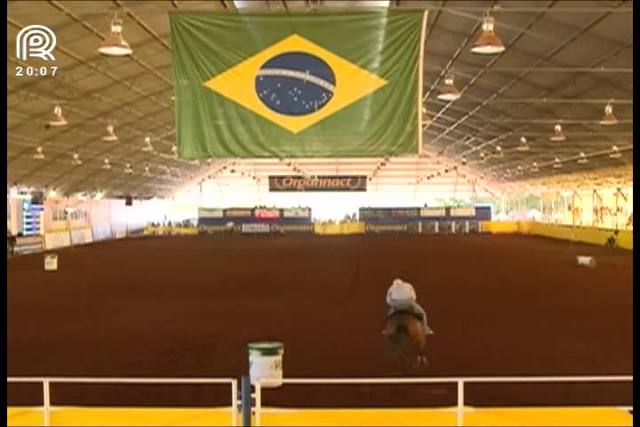 Avaré é palco do campeonato nacional da raça quarto de milha