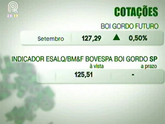 Mercado do boi gordo firme