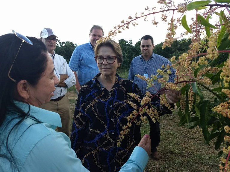 Ministra Tereza Cristina em visita a Juazeiro na Bahia/ Foto: Ministério da Agricultura