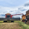 colheita, soja, sojicultor máquinas agrícolas