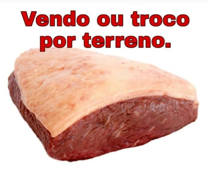 aumento da carne bovina vira piada na internet