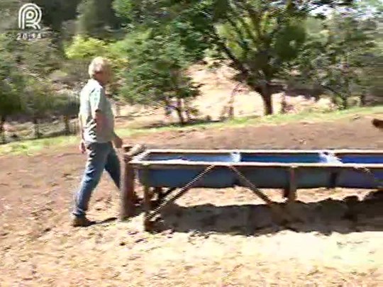 Queda dos preços de farelo de soja e de milho favorece os bovinocultores