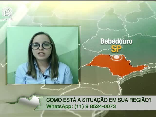 Como a Carne Fraca abala o setor de aves e suínos?