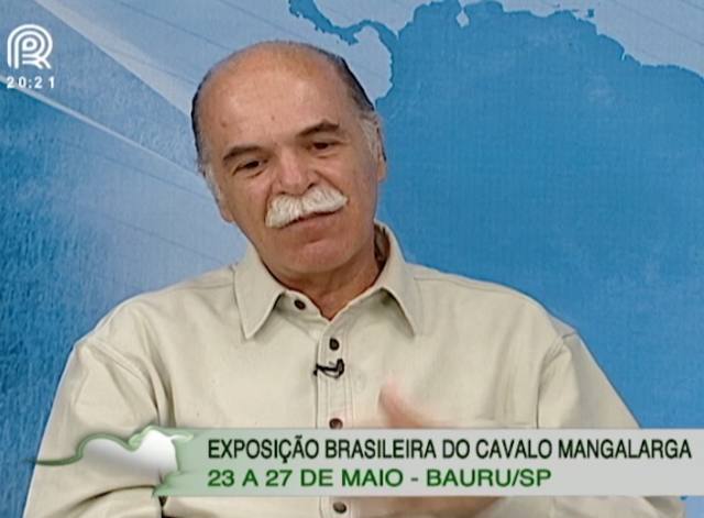 Exposição do Cavalo Mangalarga começa em SP