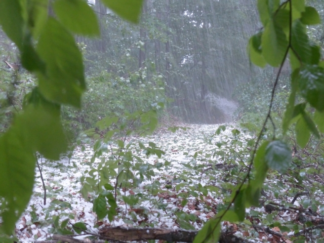 Previsão do tempo alerta para granizo e acumulados 270 mm; saiba onde