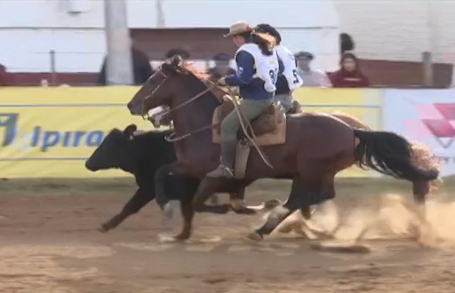 Freio de Ouro, Final