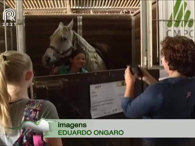 Cavalos encantam o público na Expointer 2017