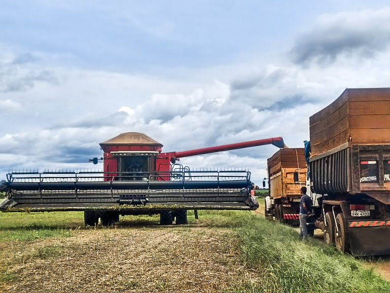 colheita, soja, sojicultor máquinas agrícolas